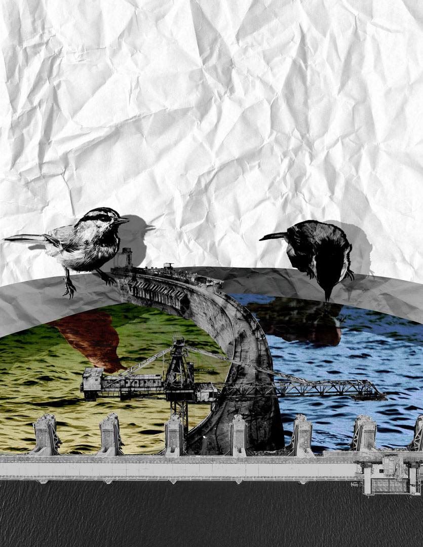 A bird bath with a dam built down the middle separating the clean water from the bad water. The left bird on the contaminated side watches the other bird drinking clean water.