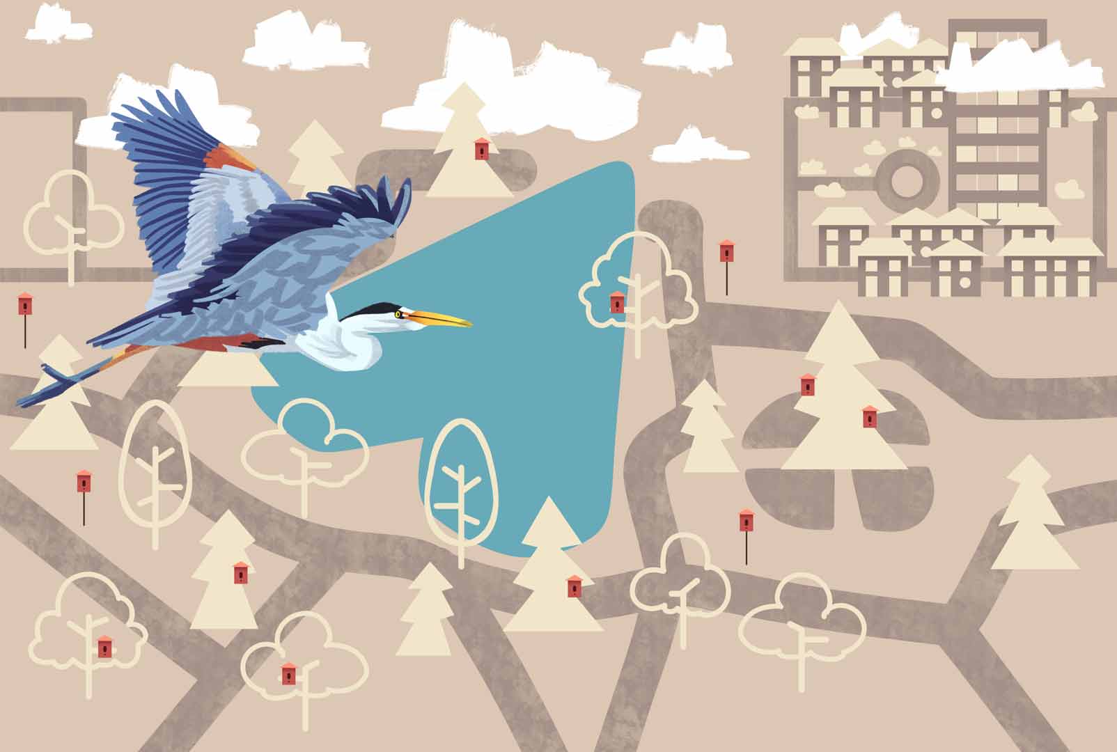 Brampton's Birdhouse work in progress 2.