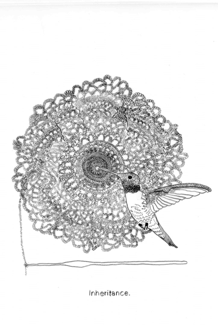 A detailed drawing of a small unfinished doily. The crochet needle lays below with thread partially looped through. A hummingbird hovers over the needle, its beak drinking from the center of the doily.