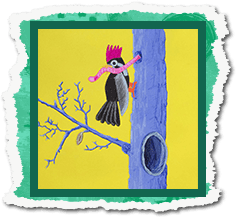 Illustration cover image. Go to Illustration portfolio page.